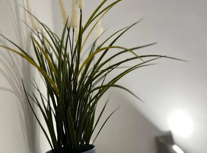 Adele Appartement Costa Adeje (Tenerife)