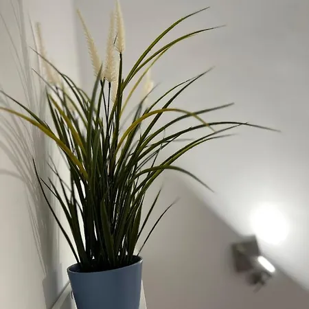 Adele Διαμέρισμα Costa Adeje (Tenerife)